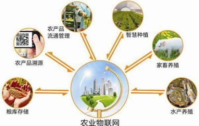 發(fā)展農業(yè)農村智慧產(chǎn)業(yè)體系，助力鄉(xiāng)村振興的規(guī)劃設計與管理路徑